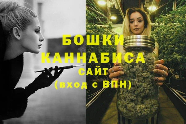 крисы Бугульма