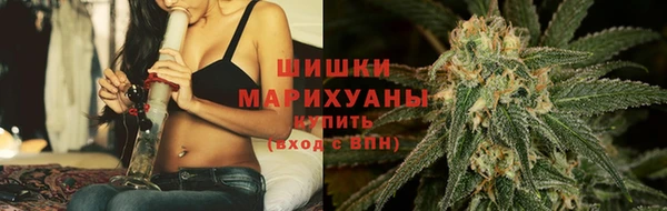 крисы Бугульма