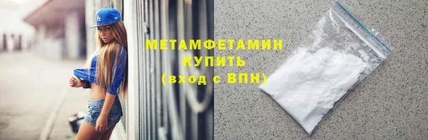 крисы Бородино