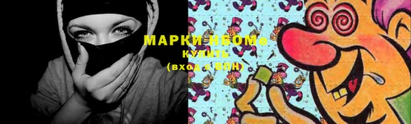 крисы Бородино