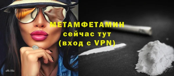 крисы Бородино