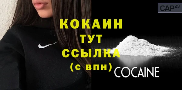 крисы Бородино