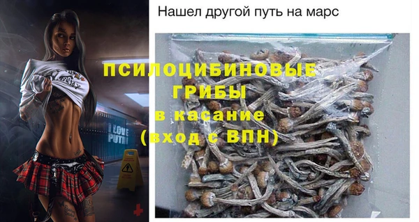 крисы Бугульма