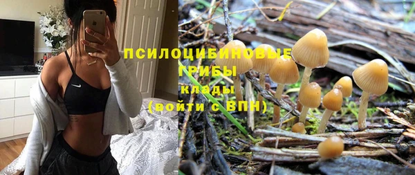 крисы Бугульма