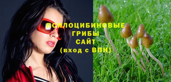 сатива Бронницы