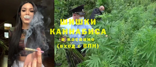 крисы Бородино