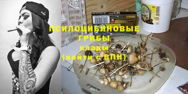 крисы Бородино
