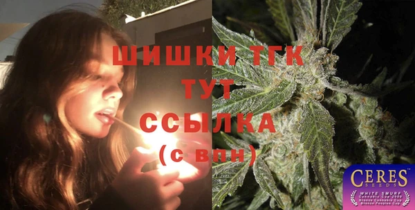 крисы Бородино