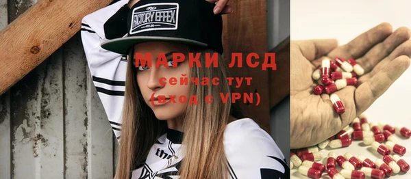 крисы Бородино