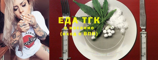 крисы Бородино