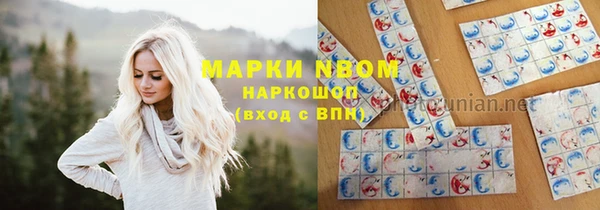 сатива Бронницы