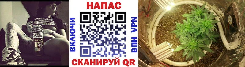 купить закладку  Мензелинск  Канабис SATIVA & INDICA 